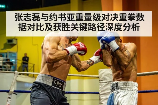 张志磊与约书亚重量级对决重拳数据对比及获胜关键路径深度分析