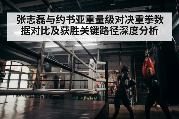 boxer training gym